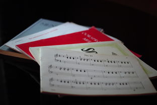 九游娱乐官方网站-中小学体育课程内容优化实践，中小学体育课程一体化研究